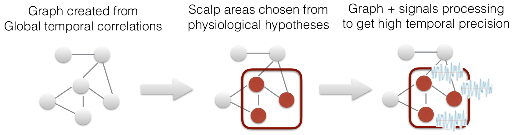 EEG network scheme